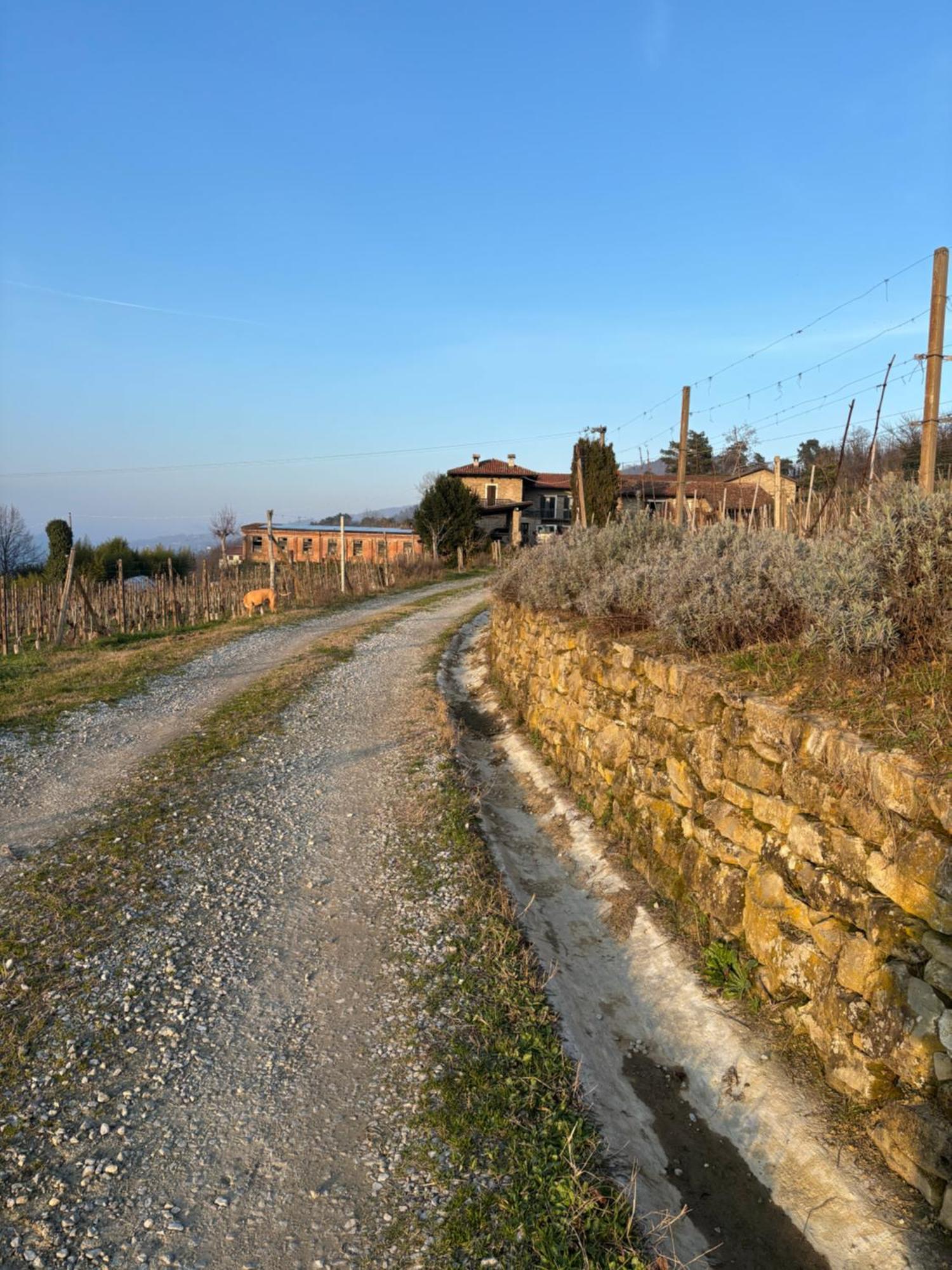 Agriturismo Tenuta San Giuseppe Cossano Belbo Extérieur photo